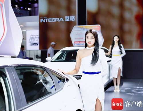 组图 豪车美模 2023海报集团金秋车展视觉盛宴不可错过
